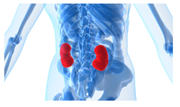 Medical Image